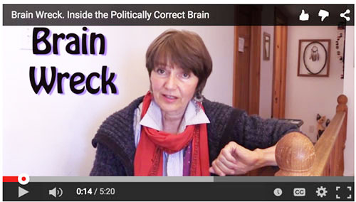Brain Wreck - inside the politically correct brain - no critical thinking, no logic